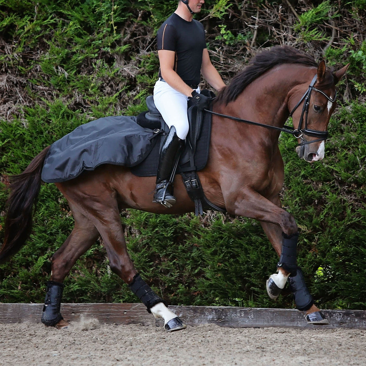 BACK ON TRACK RUG LOIN RIDING BLANKET - 2