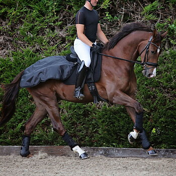 BACK ON TRACK RUG LOIN RIDING BLANKET