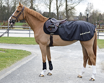 BACK ON TRACK RUG LOIN RIDING BLANKET