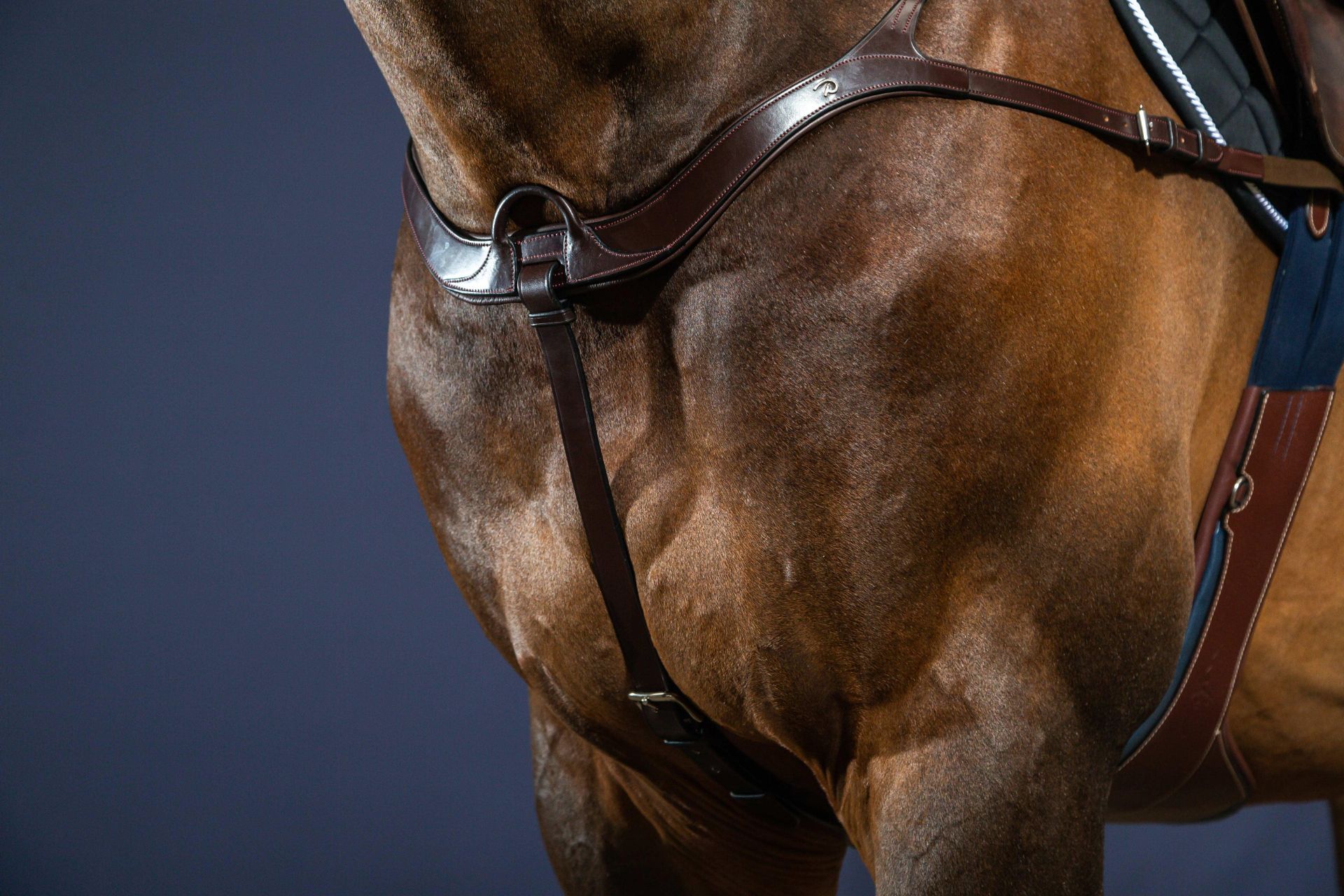 DYON ANATOMISK FÖRBYGEL 5-PUNKT NE - 3