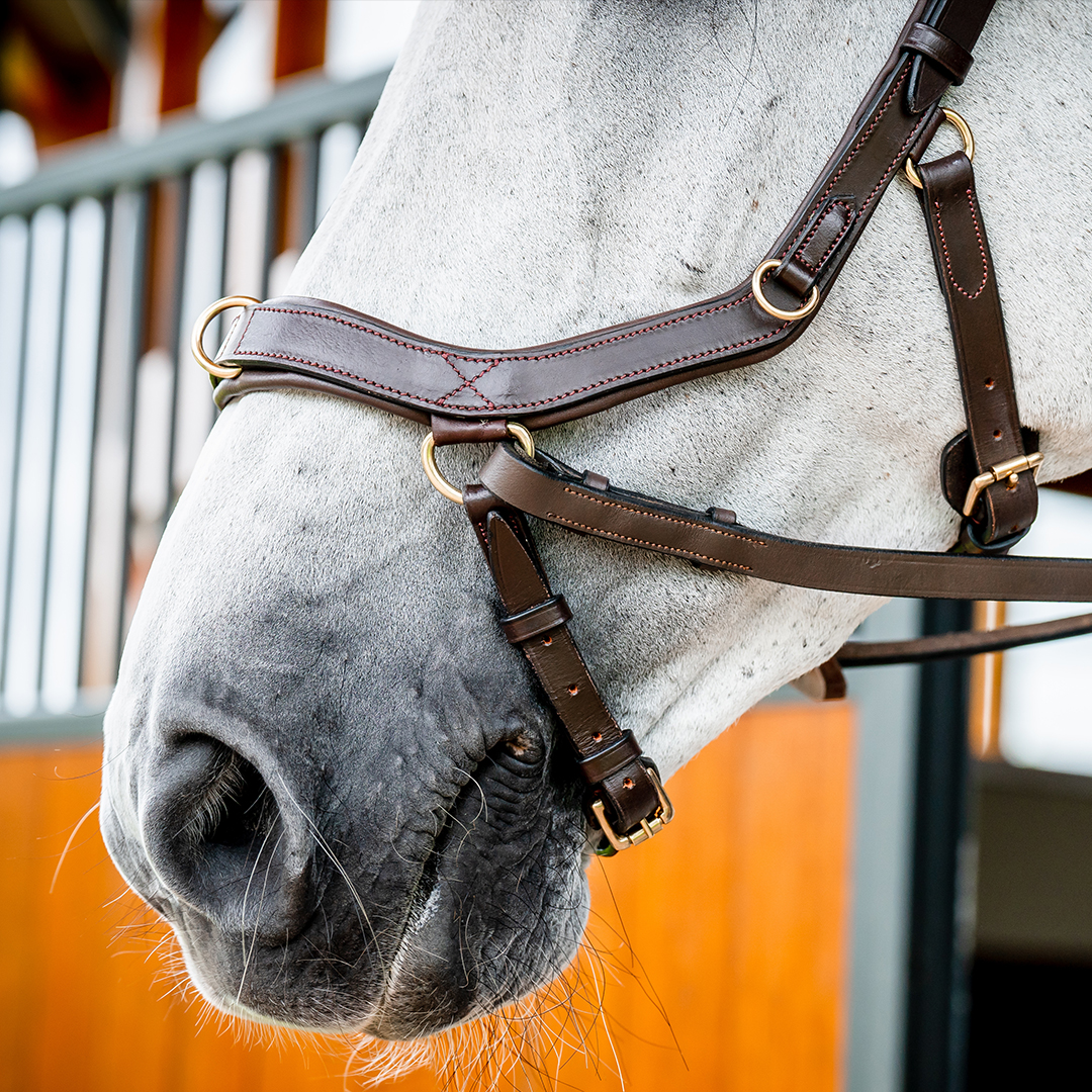 HORSEWARE MICKLEM 2 MULTI BRIDLE - 6