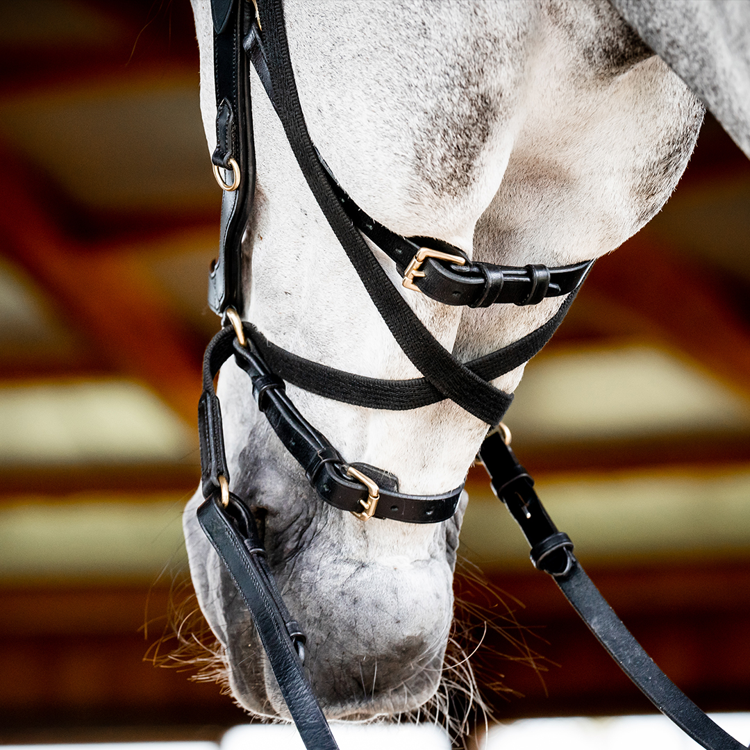 HORSEWARE MICKLEM 2 MULTI BRIDLE - 4