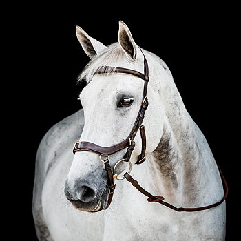 HORSEWARE MICKLEM 2 MULTI BRIDLE