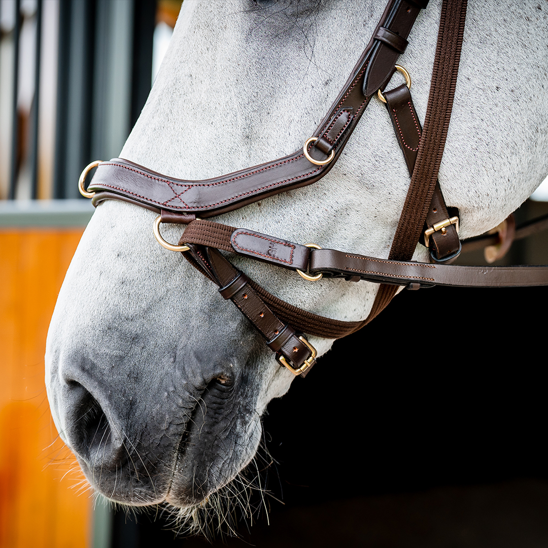 HORSEWARE MICKLEM 2 MULTI BRIDLE - 7