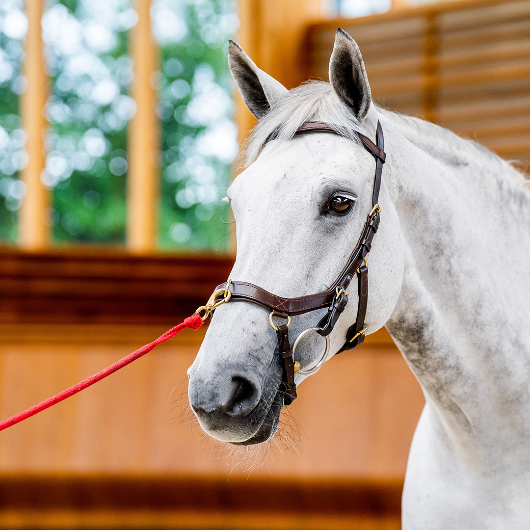 HORSEWARE MICKLEM 2 MULTI BRIDLE - 5