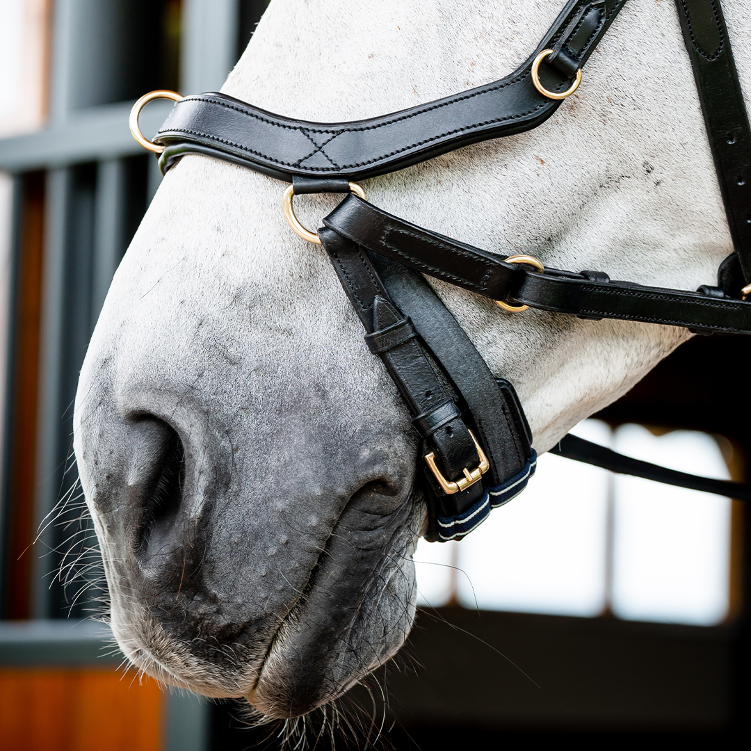 HORSEWARE MICKLEM 2 MULTI BRIDLE - 3