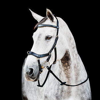 HORSEWARE MICKLEM 2 MULTI BRIDLE