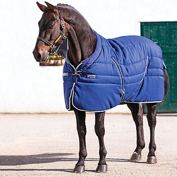RAMBO COSY STABLE 400gr OUTGOING