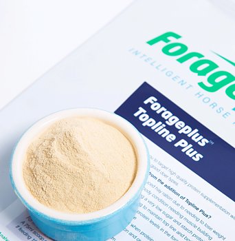 FORAGEPLUS TOPLINE PLUS | TOPLINE 2,5 KG