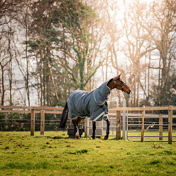 AMIGO BRAVO 12 PLUS 0gr V-Front PONY UTGÅENDE