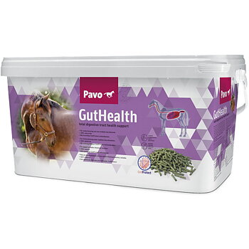 PAVO TILLSKOTT GUT HEALTH