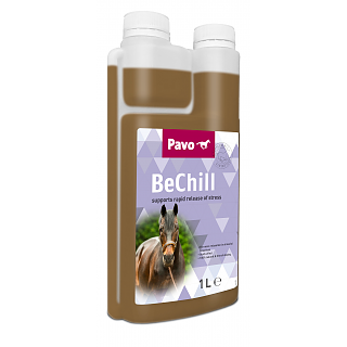 PAVO BECHILL 1L