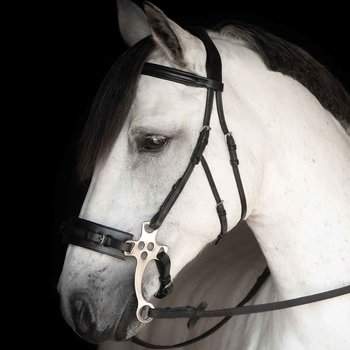 LIPPO SUPREME CHESTER TRÄNS FÖR HACKAMORE