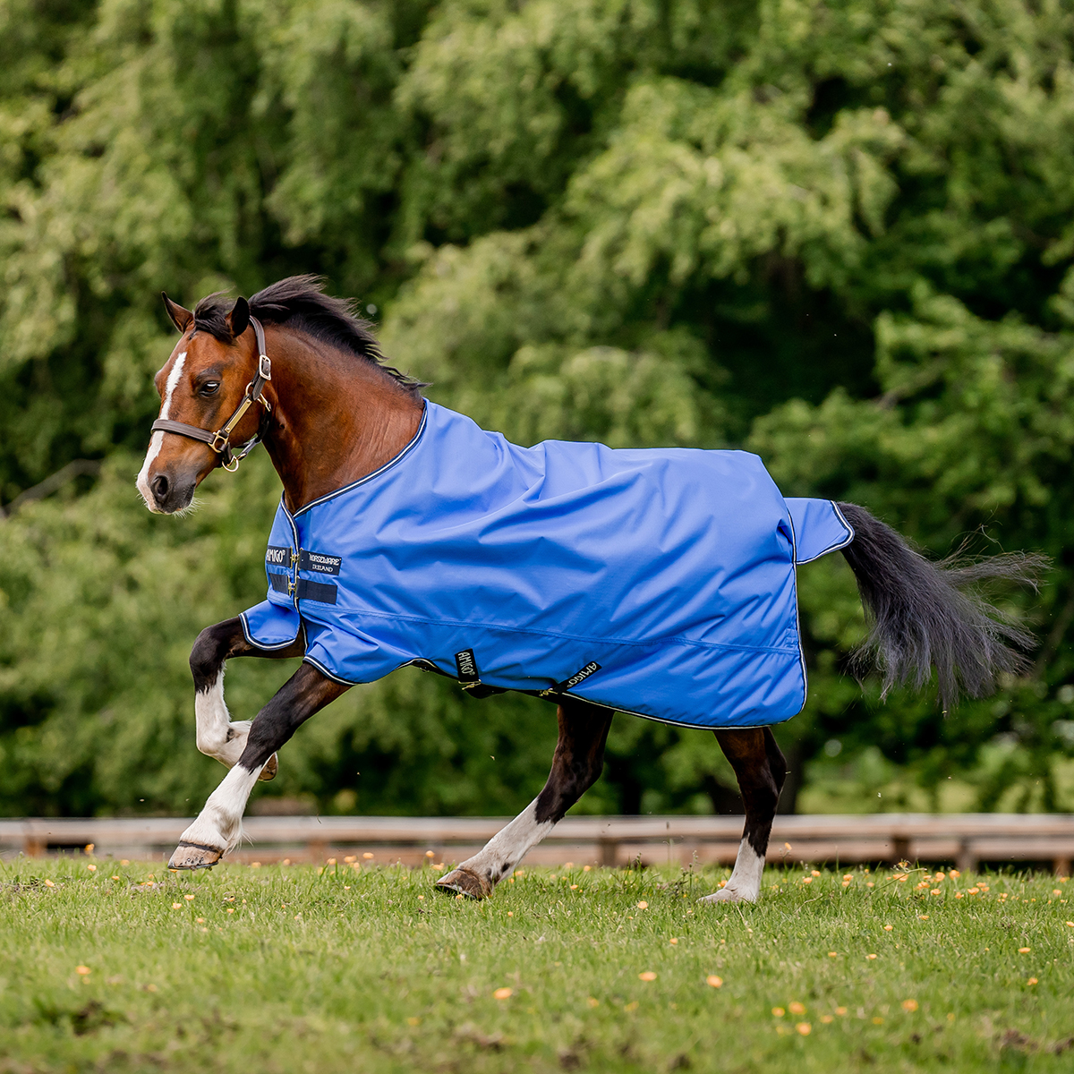 AMIGO HERO 6 RIPSTOP PONY  0GR UTGÅENDE - 3