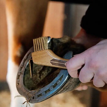 KENTUCKY GD HOOF RAKE WITH METAL BRUSH