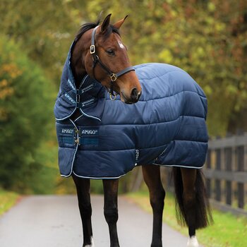 AMIGO STABLE
