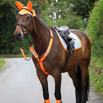 REFLECTORS FOR HORSE AND RIDER