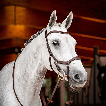 BRIDLES & BROWBAND
