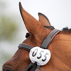 COMPETITION ACCESSORIES