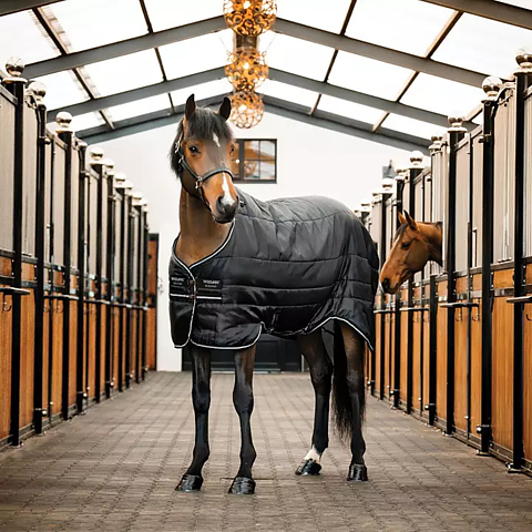 Stable rugs