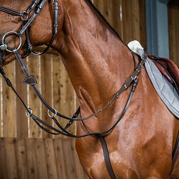 REINS & AUXILIARY REINS