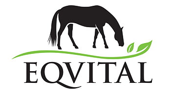 Eqvital