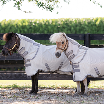 Pony, Petite & Føl