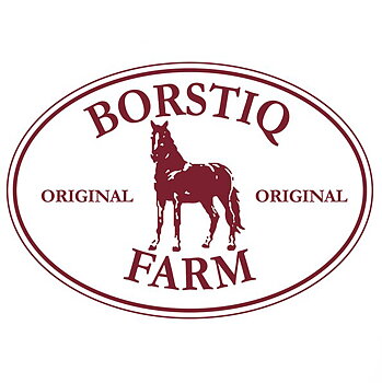 Borstiq