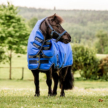 Pony & Foal