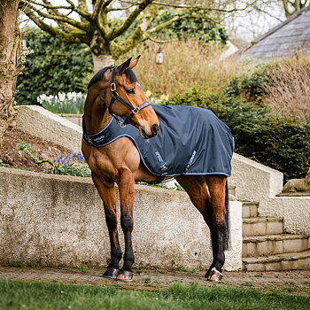 Exercise rugs
