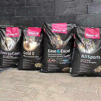 FEED & SUPPLEMENTS