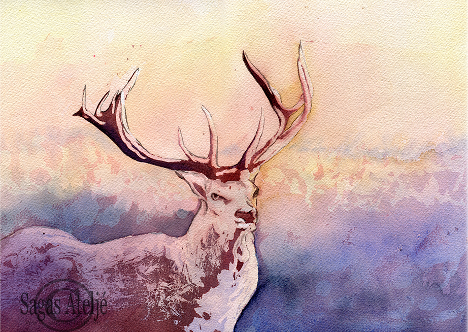 Oh, my Deer
