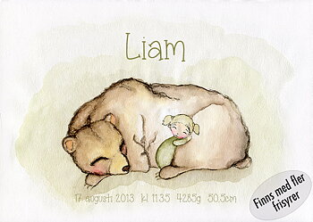 Födelsetavla - Björnen Liam
