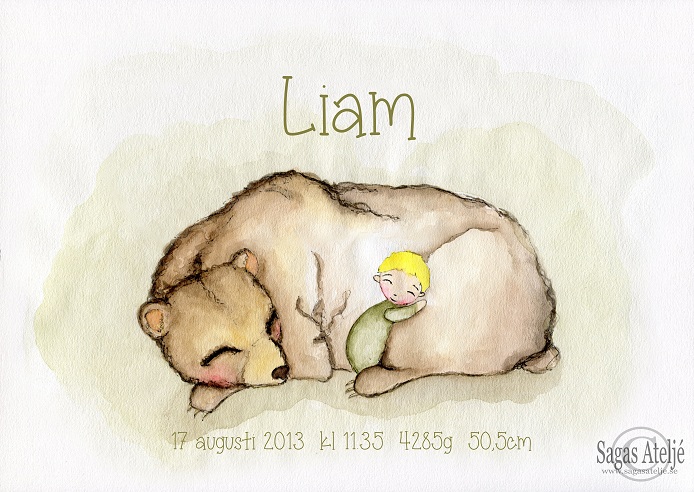 Födelsetavla - Björnen Liam - 2