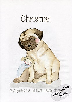 Födelsetavla - Mopsen Christian