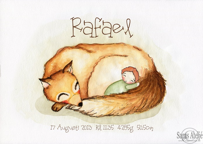 Födelsetavla - Räven Rafael - 3