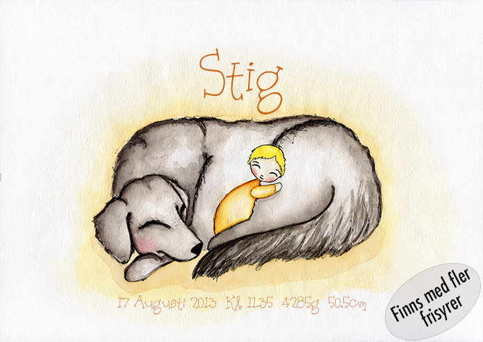 Födelsetavla - Hunden Stig