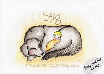 Födelsetavla - Hunden Stig