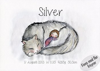Födelsetavla - Katten Silver