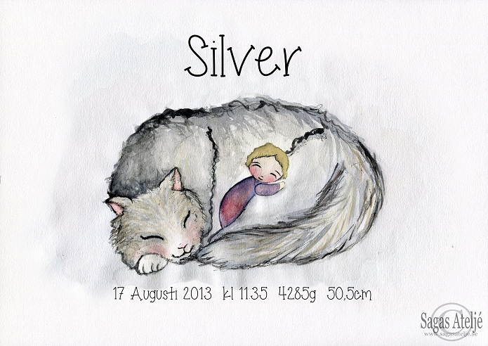 Födelsetavla - Katten Silver - 2