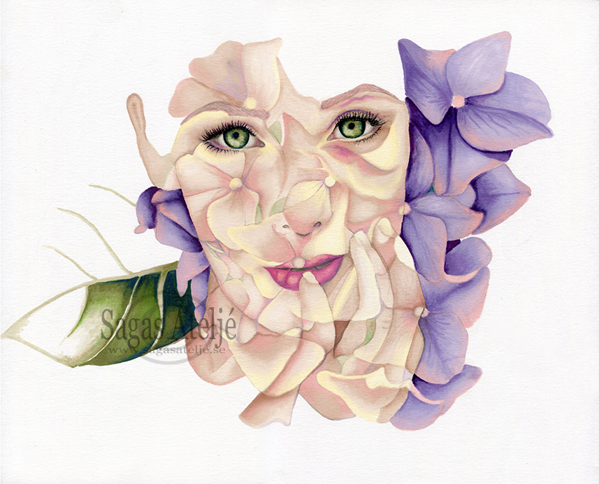 Hydrangeas