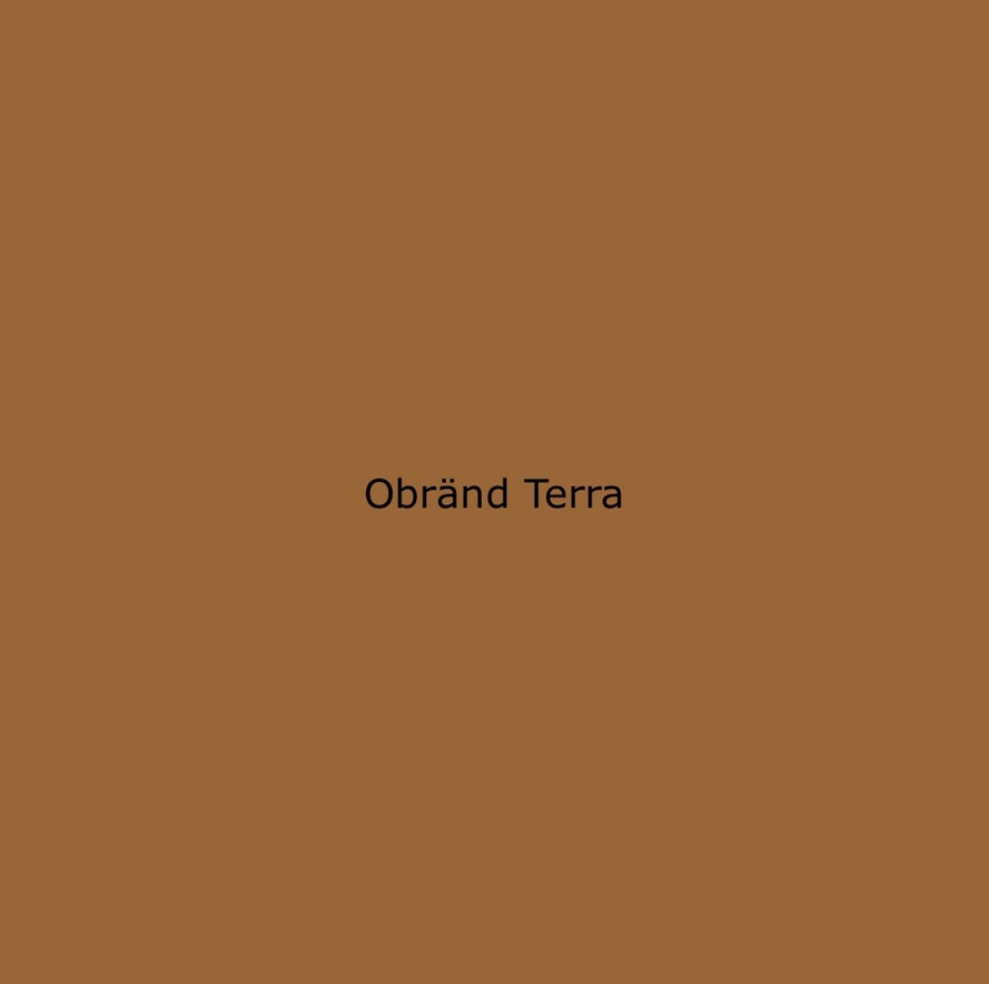 Linseed oil paints Unburnt terra 46 5 L