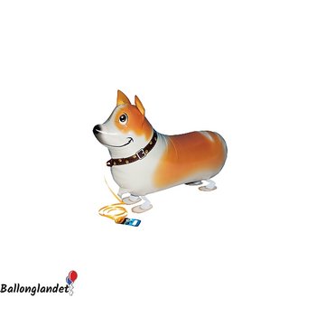 GÅENDE CORGI HUND