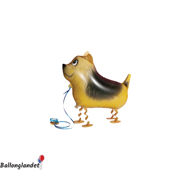 GÅENDE TERRIER HUND