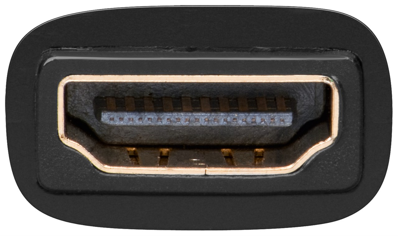 HDMI-hona till DVI-I-hona adapter - 2