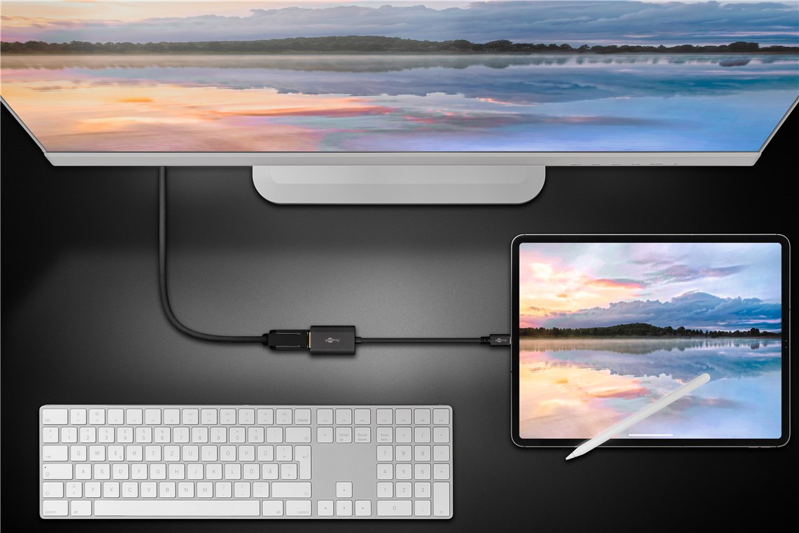 USB-C till DisplayPort Adapter - 3