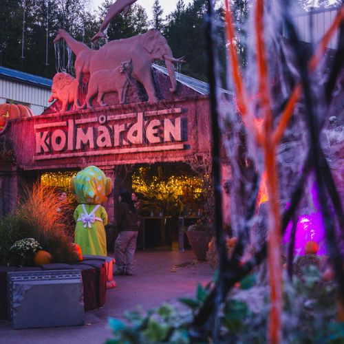 Camping nära nöjesparker och djurparker
