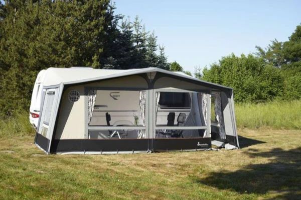 Isabella Commodore Dawn