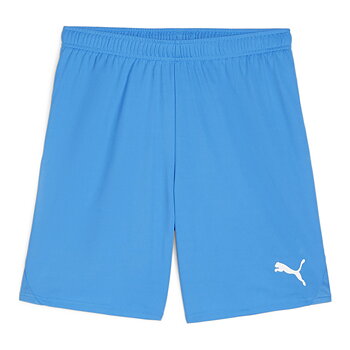 Puma Teamgoal Shorts Jr (Hammenhögs IF)