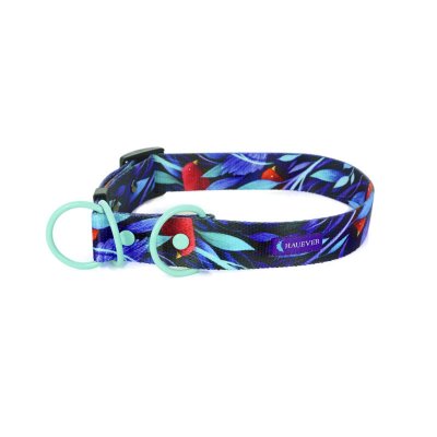 Collar 2 in 1 - ATLANTIS